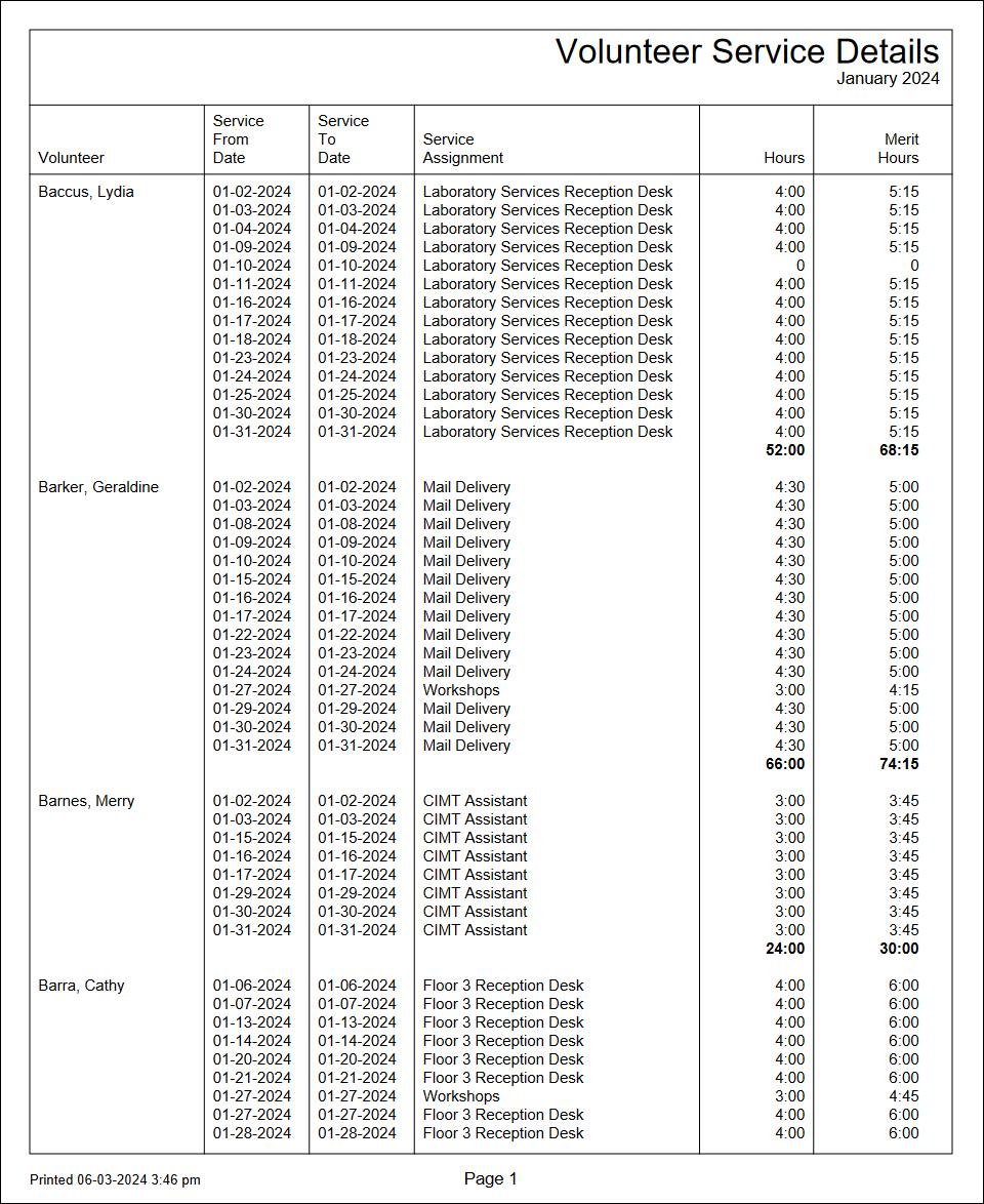 Example of Volunteer Service Details Report