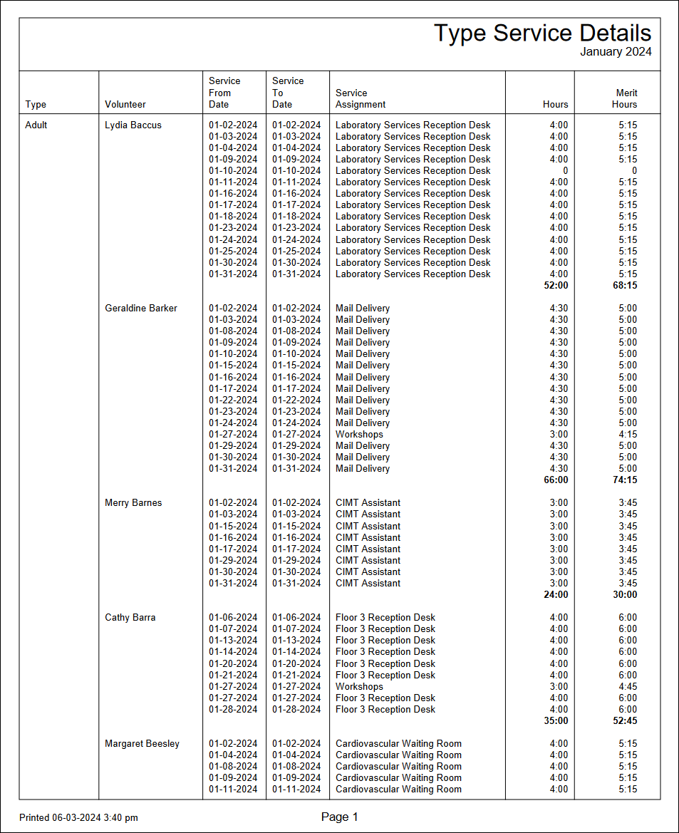 Example of Type Service Details Report