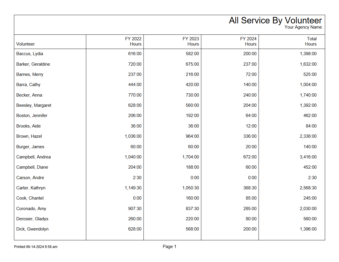 Example of All Service by Volunteer Report